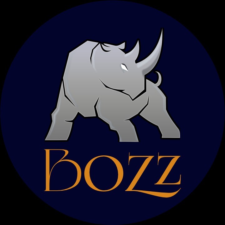 perfil-bozz